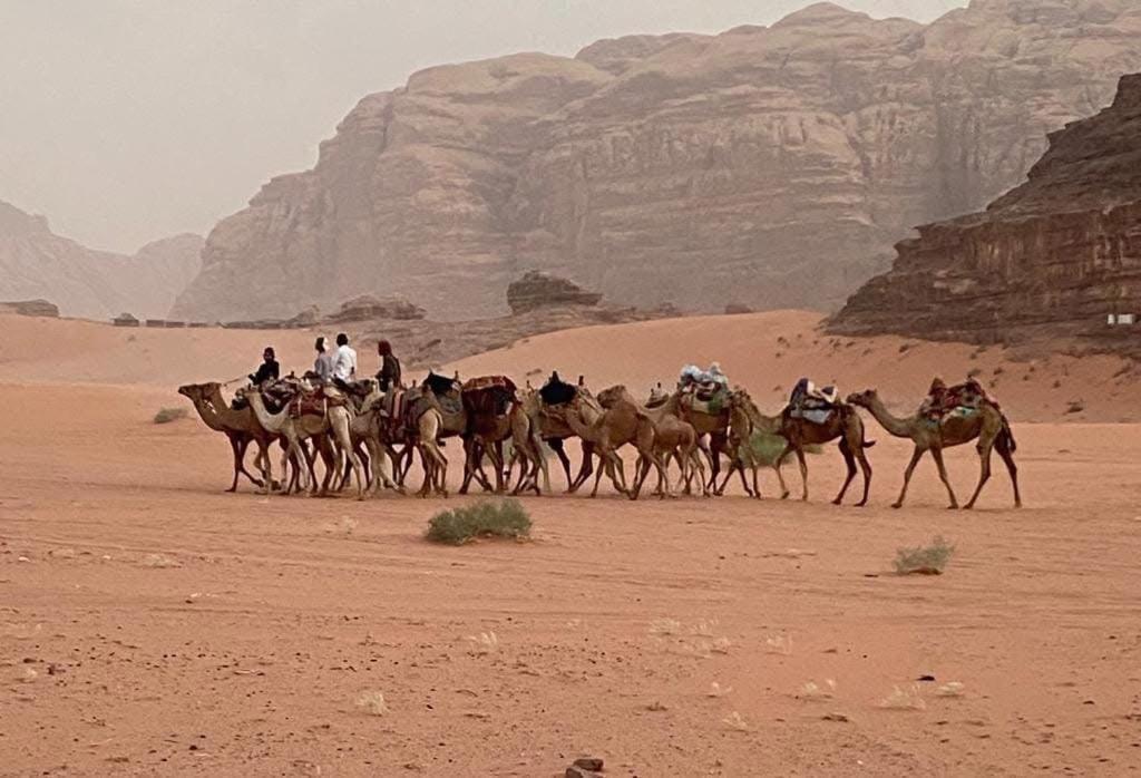 Wadi Rum Trail Exteriör bild