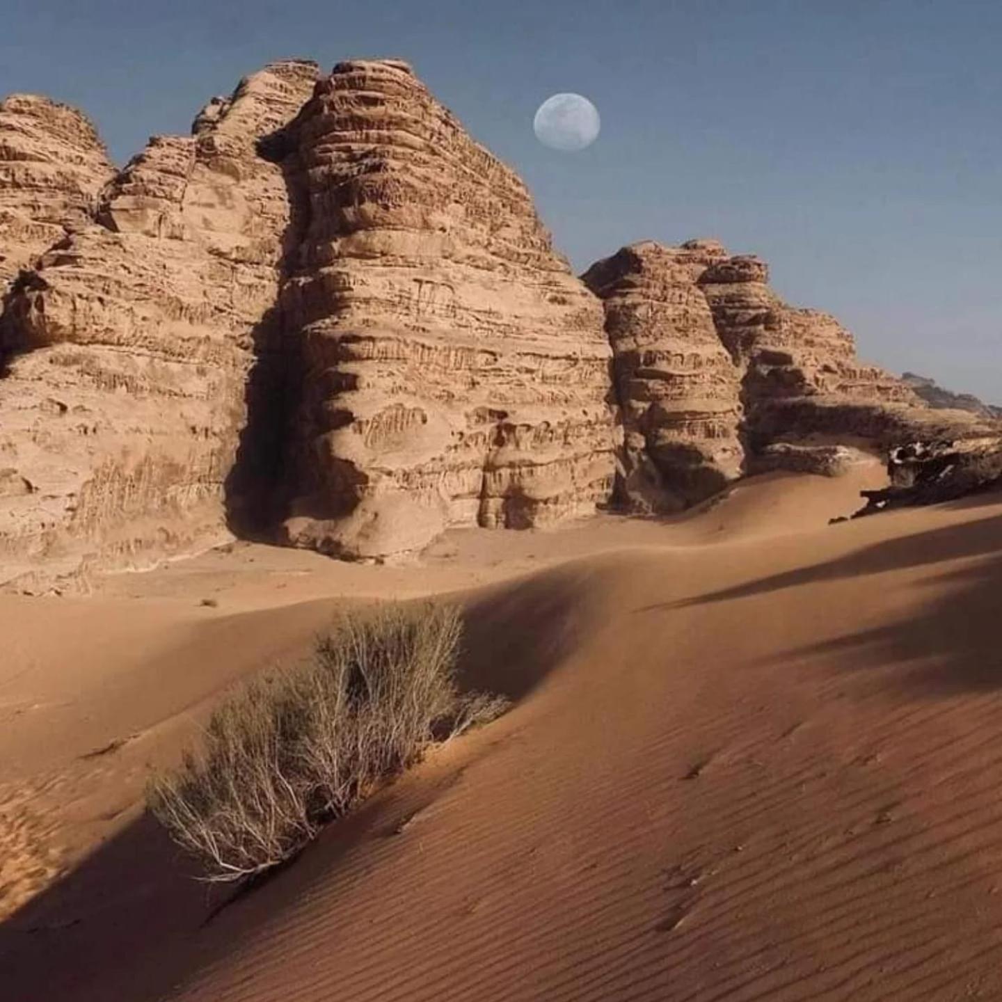 Wadi Rum Trail Exteriör bild